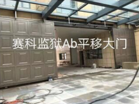 行业订制门