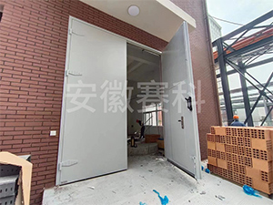 电子厂双层钢质门